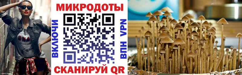 Галлюциногенные грибы мухоморы  Купить закладки  Ессентуки 